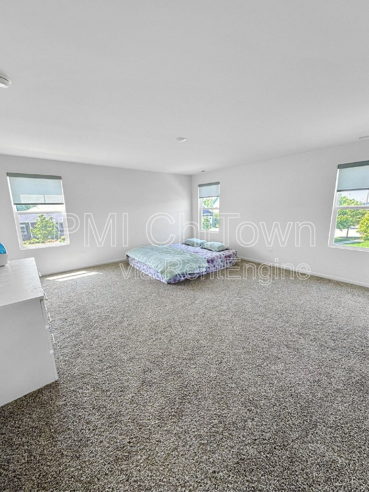 Highland Woods Corner Gem! property image